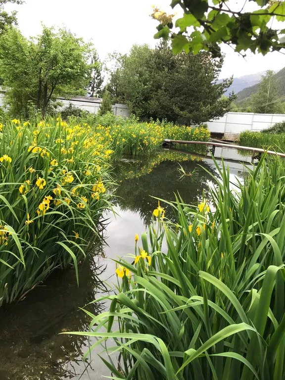 Коттедж Дом с баней и озером — Теберда