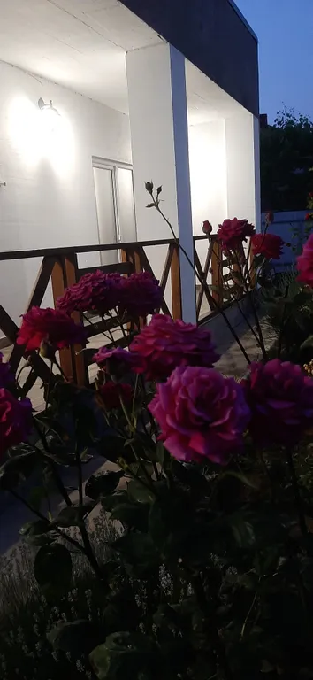 Коттедж Частный Дом — Кучугуры