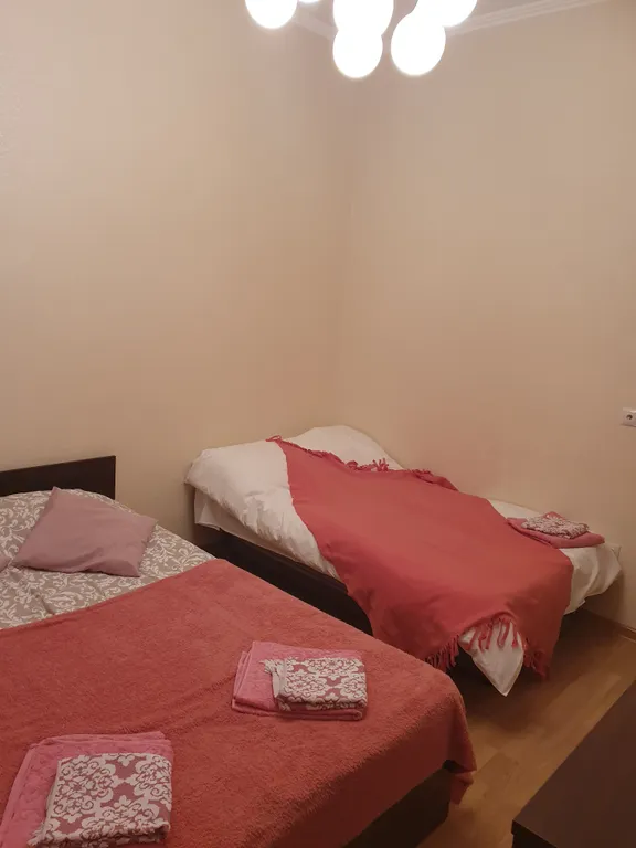 Двухуровневая 5-комнатная квартира в центре Амалиенау с зоной барбекю