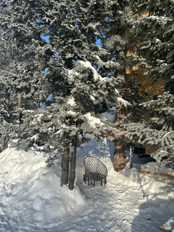 Уютный дом с красивым видом на зелёную гору