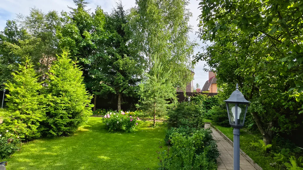 Романтика среди сосен!