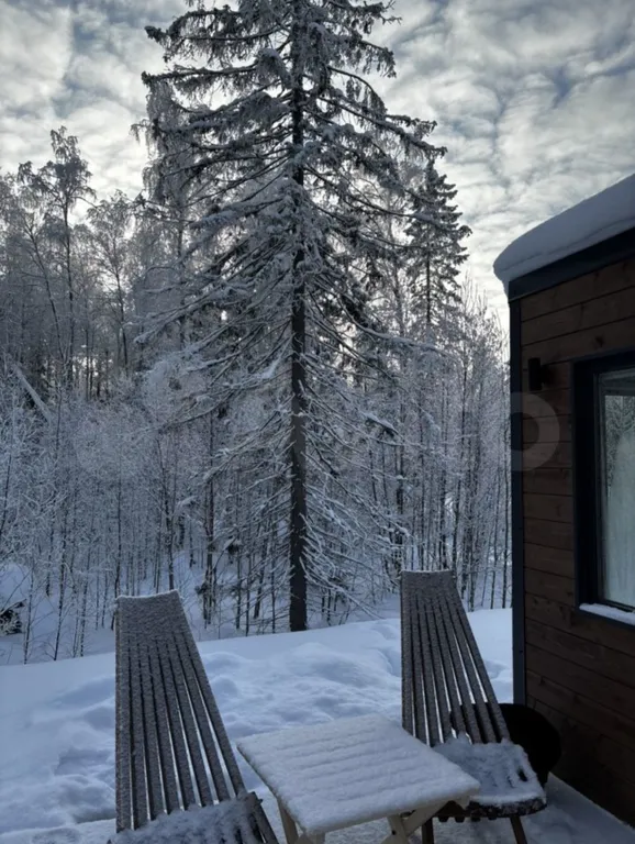 Уютный домик с панорамным окном и видом на лес