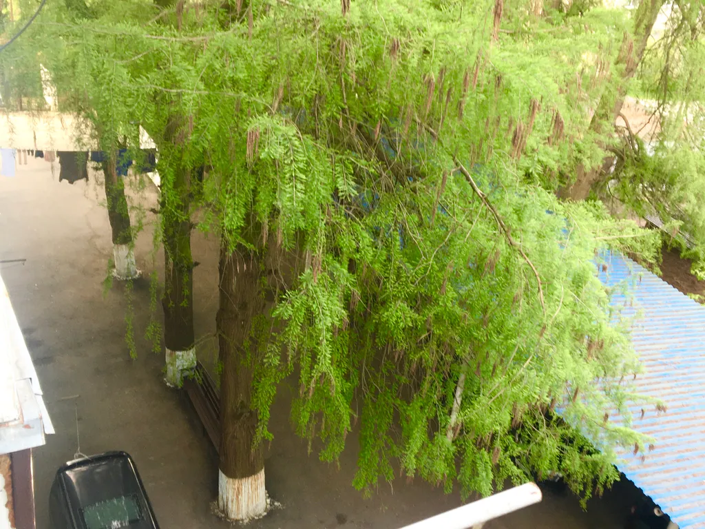 Квартира в двух шагах от моря