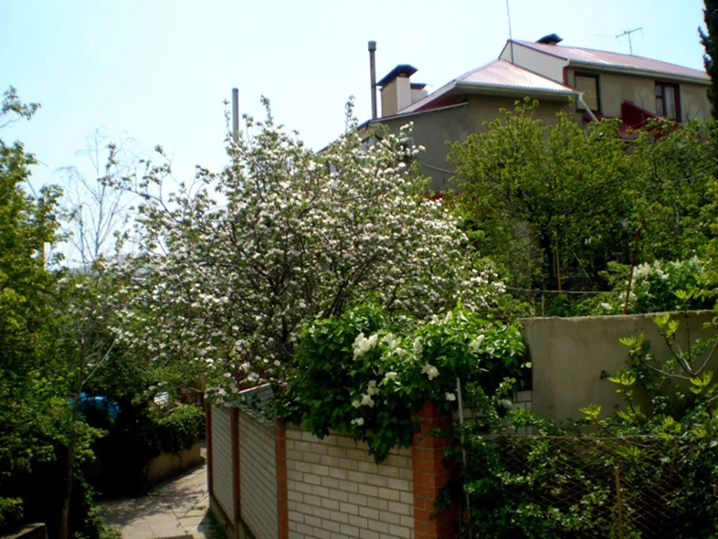 Коттедж с отдельным входом и двориком