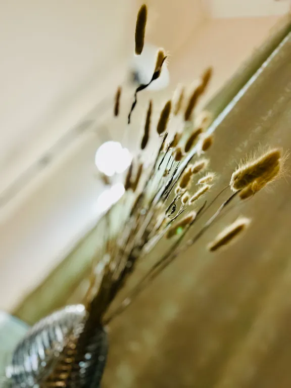 Уютная квартира с новой мебелью