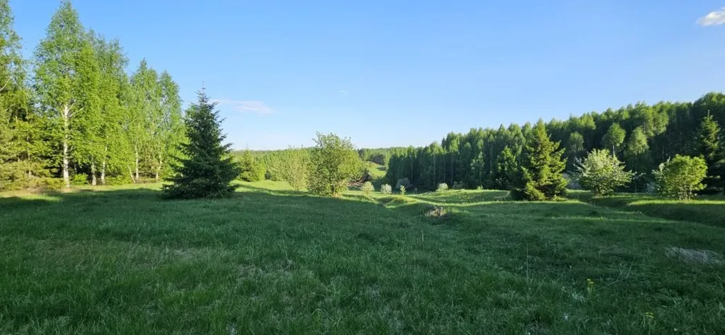 Дом 40m2 — чан, кухня, полное уединение