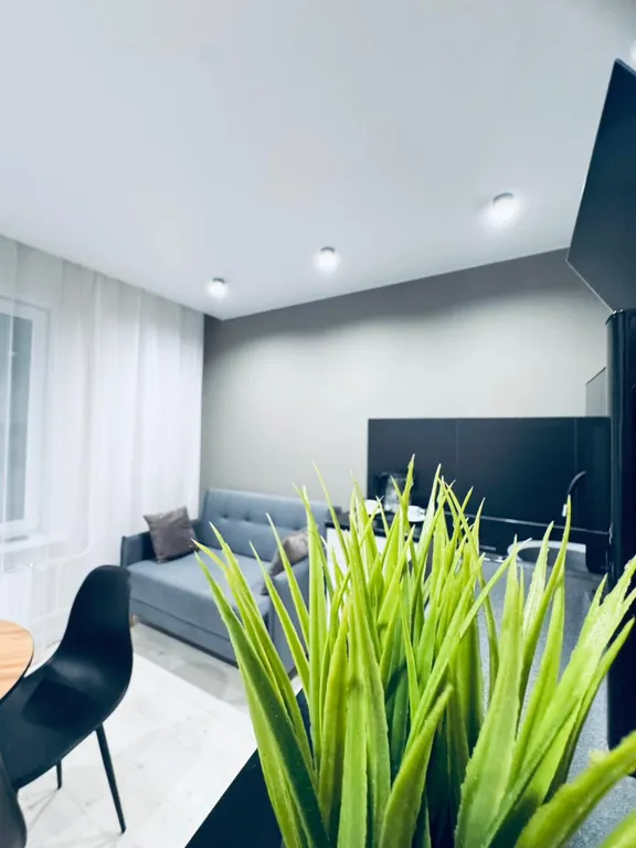 Апартамент с видом на Волгу