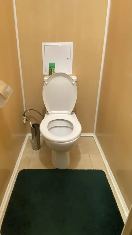 Уютная однокомнатная квартира