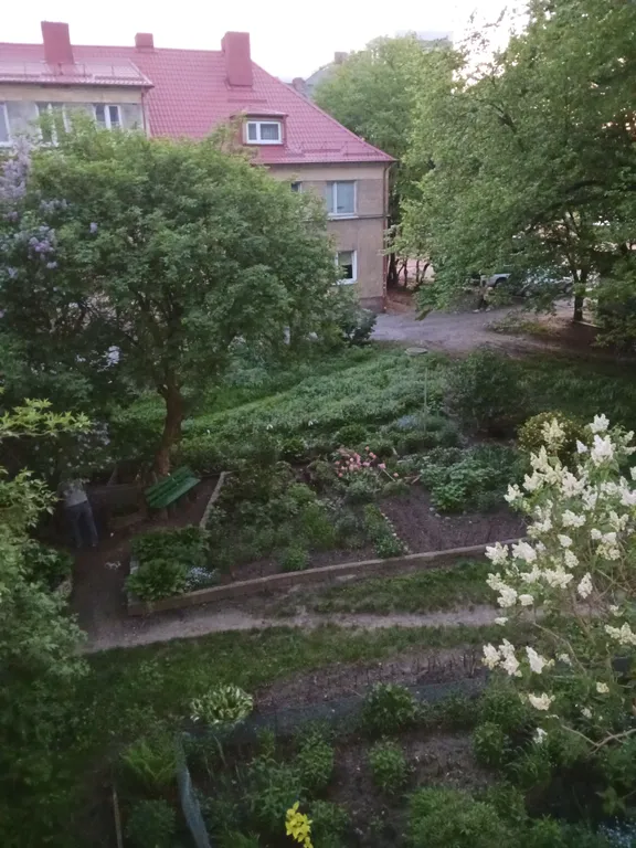 Квартира Уютная квартира в трех остановках от площади Победы — Калининград