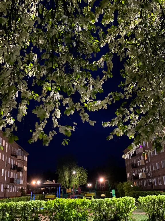 Уютная квартира на границе Беларусь и Латвии