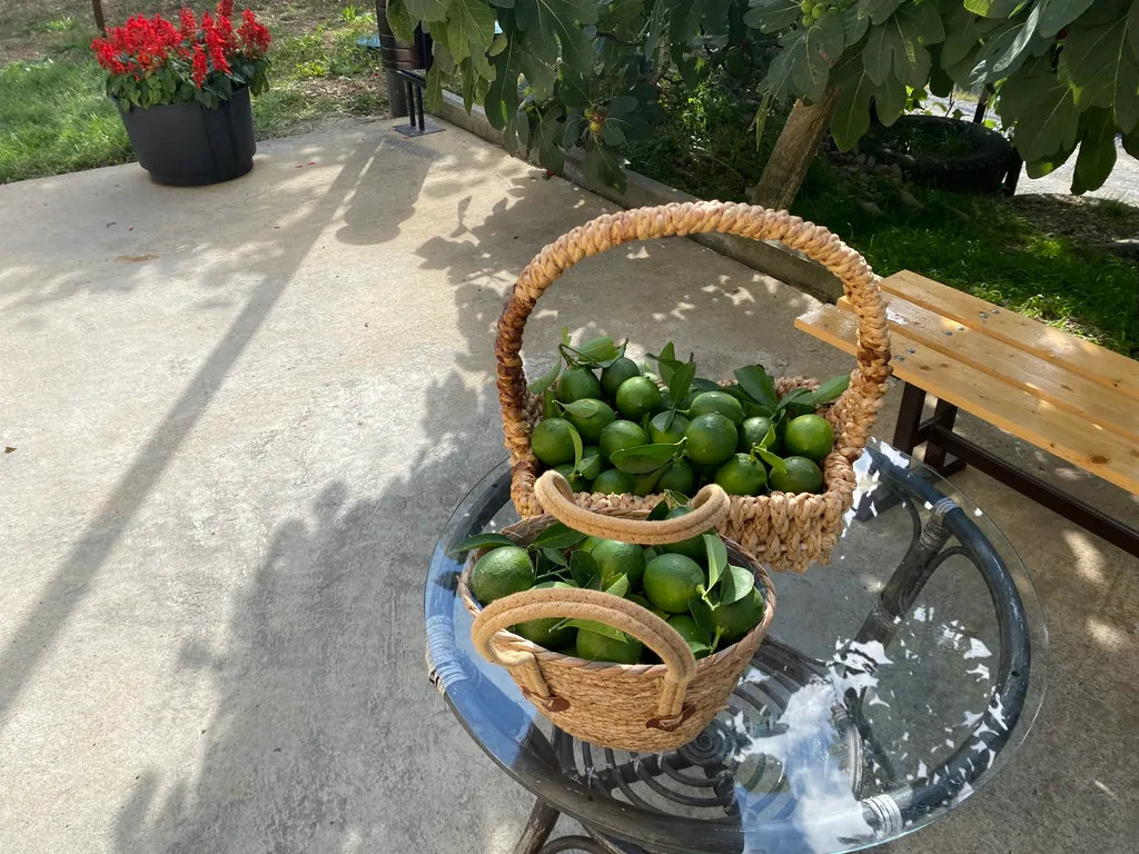 Коттедж Уютный дом на холме с красивыми видами на море, олимпийские объект — Сочи