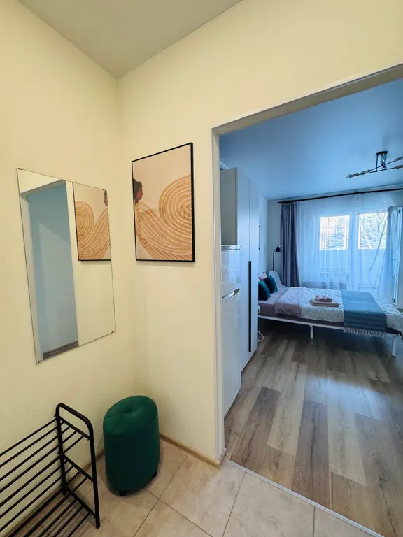 Уютная студия в Новоселье