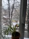 Кашапов Рамиль