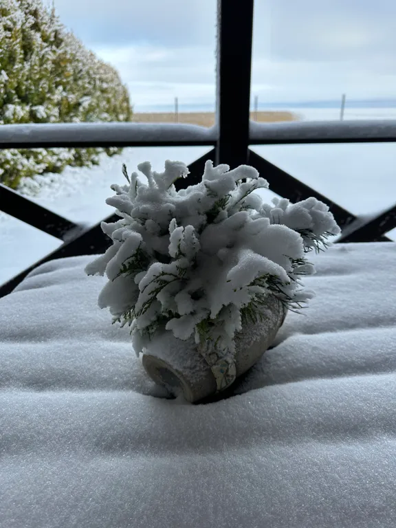 Дом на берегу Псковского озера