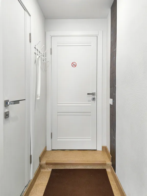 Квартира - студия "2 Весны"