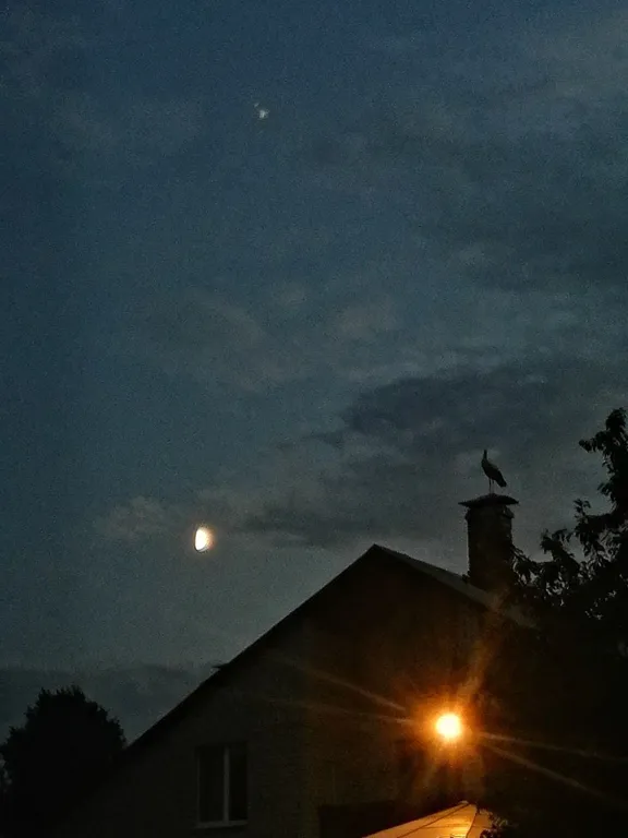 Коттедж с баней