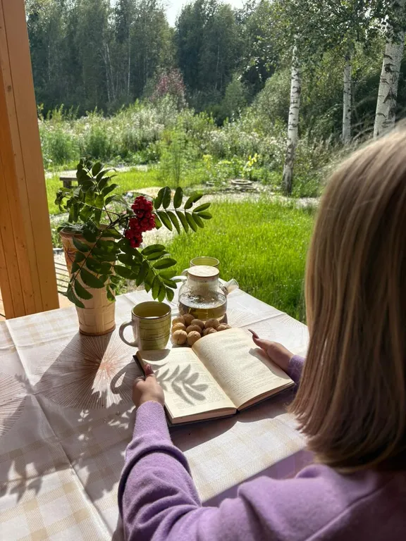 Дворик леса