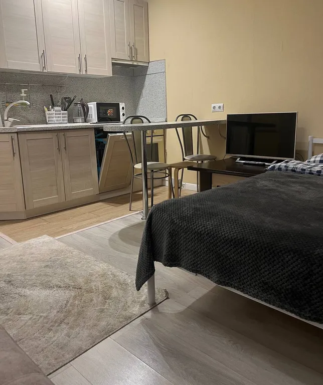 Большая студия в ЖК Спутник