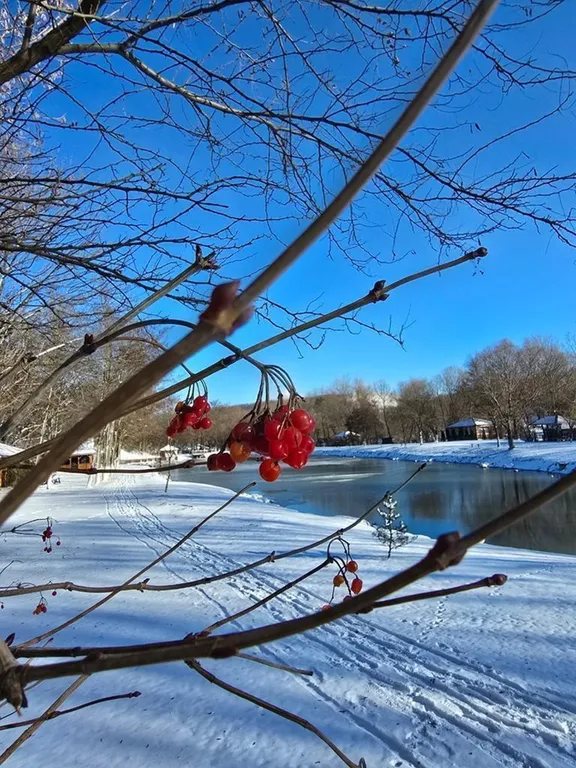 Домик возле озера