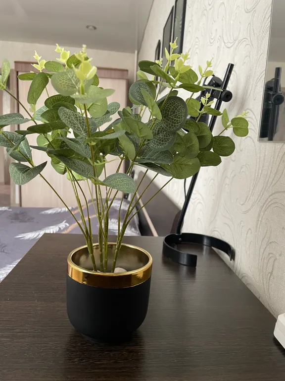 Уютная 2-комнатная квартира в центре Белорецка