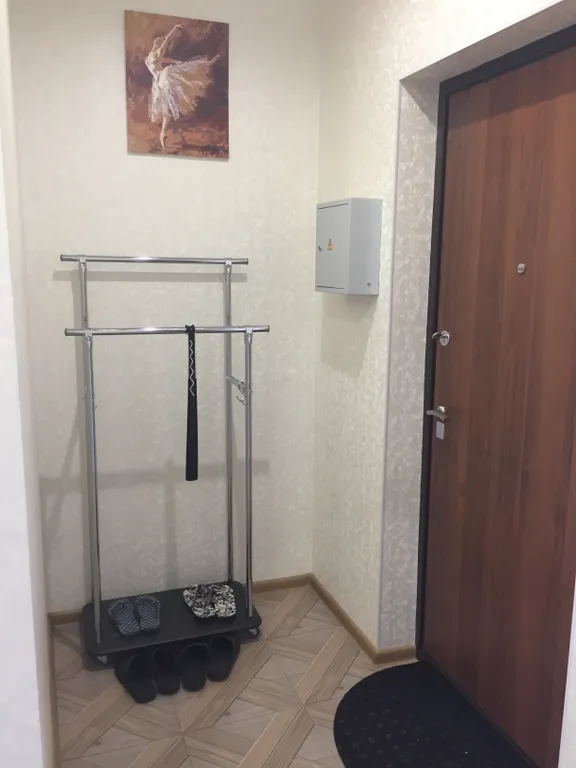 Жюль Верн /19