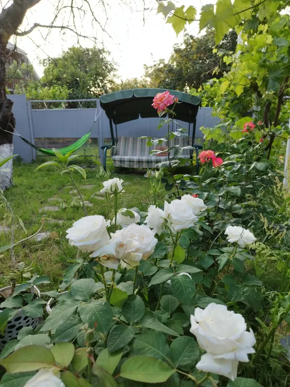 Коттедж Атмосферный дом с живым камином и баней на дровах — Ленина