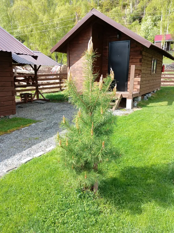 1-комнатный Дом