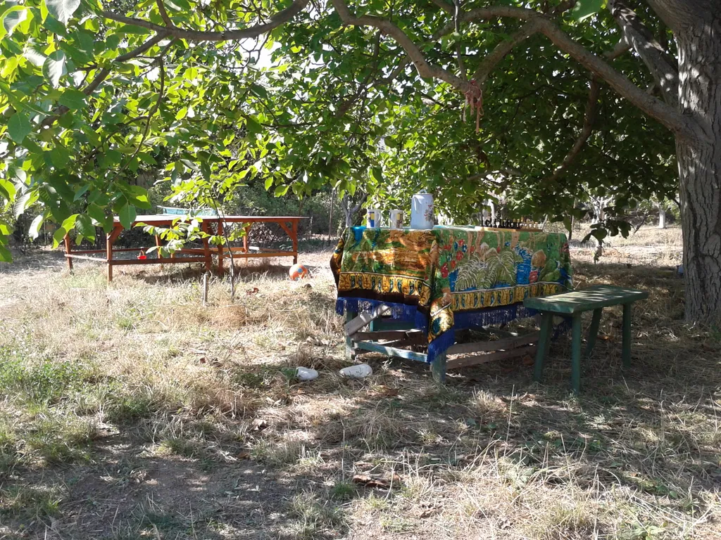 Комфортабельный номер