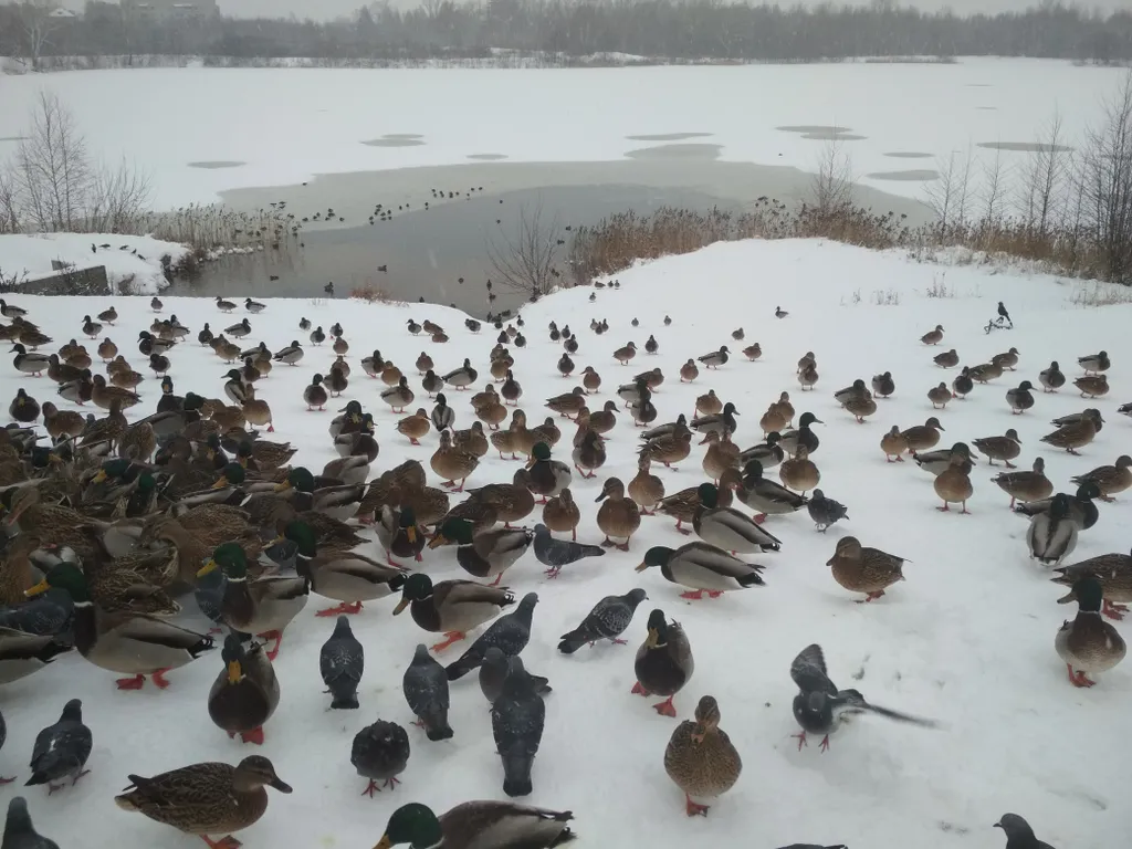 10 минут от Ярмарки и стадиона Нижний Новгород
