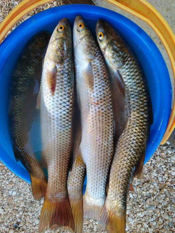 Уютный деревянный домик для комфортного отдыха №2