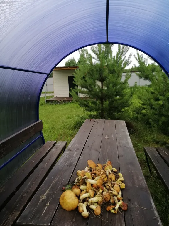 Дом на большом лесном участке Дача интроверта