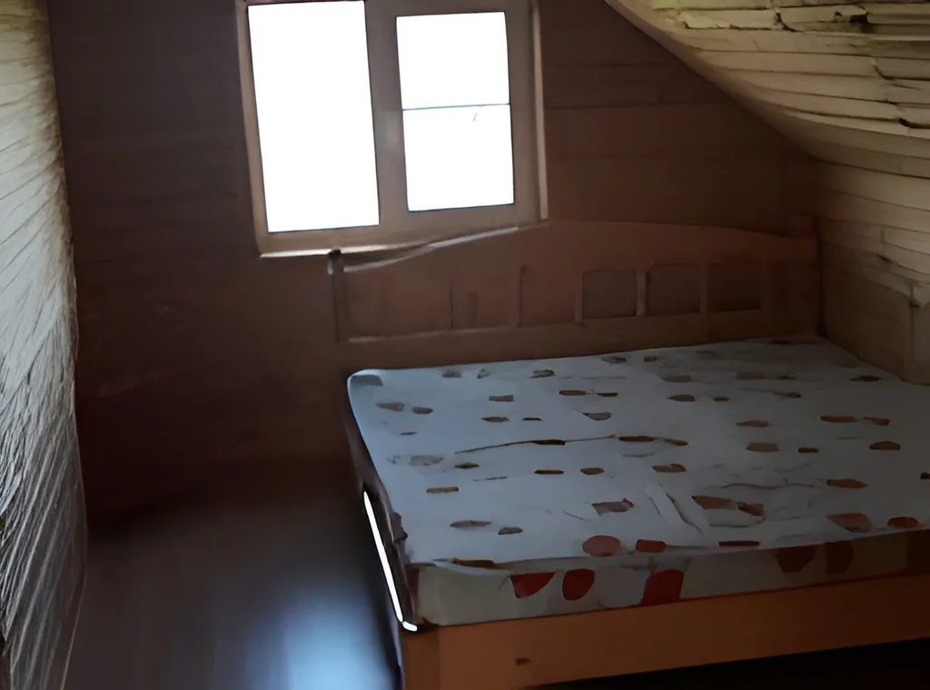 Большой дом на берегу Вселуга