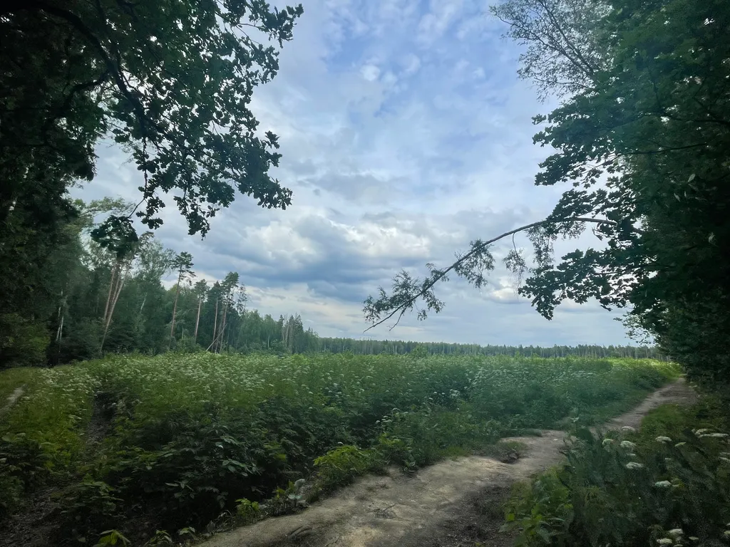 Студия для одного рядом со Сколково