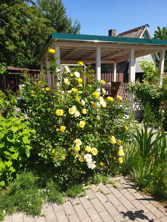 Морской релакс