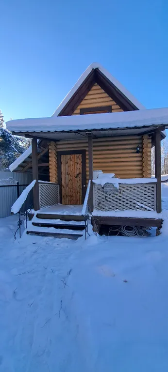 Дом в дубах