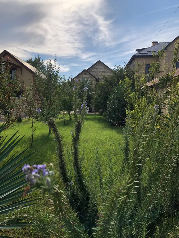 Дача на берегу моря