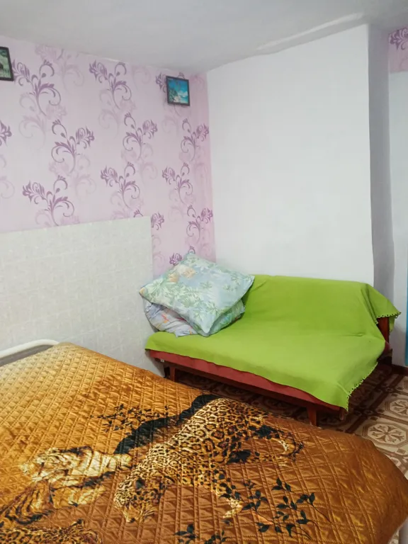 Уютный номер в частном секторе, с частичными удобствами, душ летний