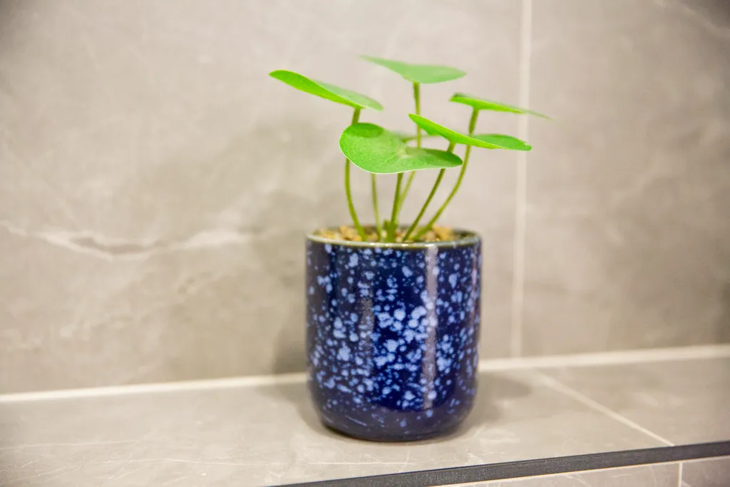 Уютная студия на правом берегу