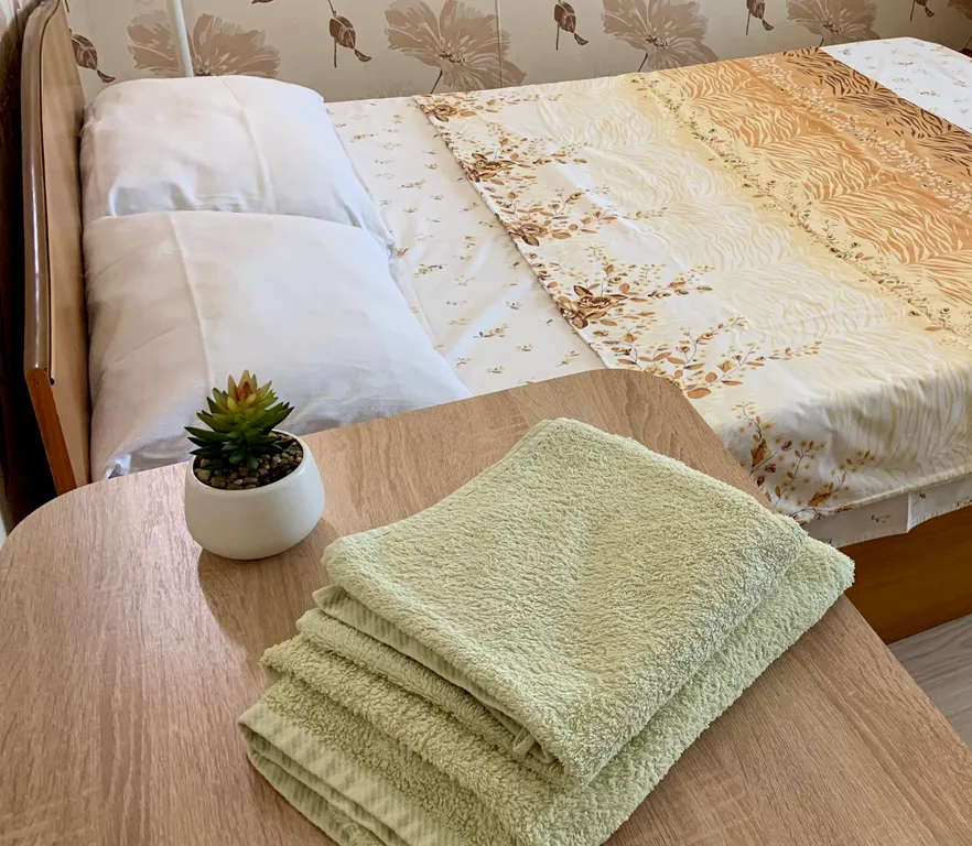 Уютная квартира в центре города