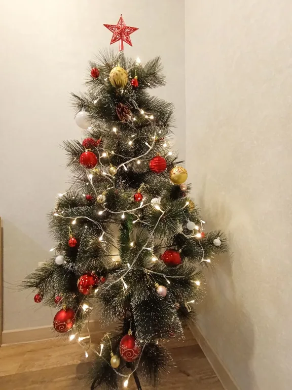 Евродвушка в новом жк