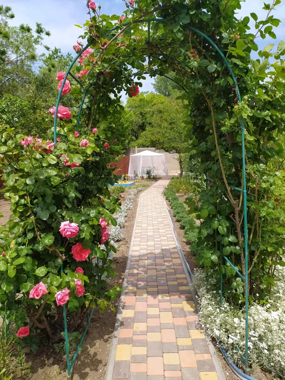 Номер у моря