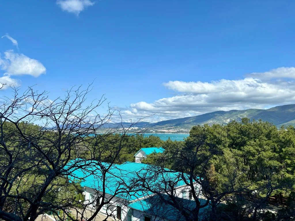 Квартира Светлая квартира с видом на море и сосны — Геленджик