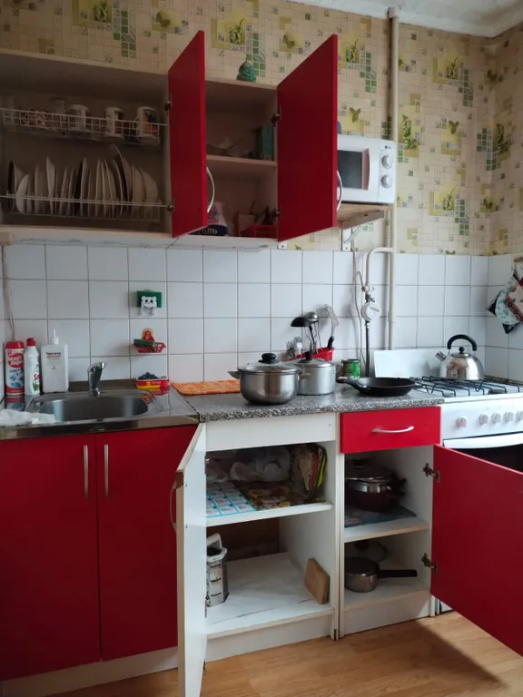 1-комнатная квартира с кухней