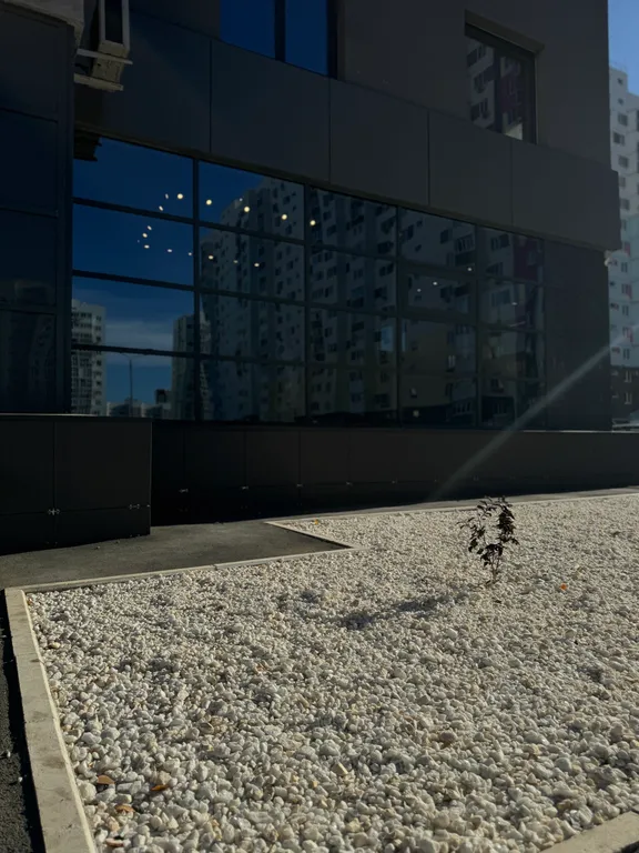 Апартамент бизнес класса