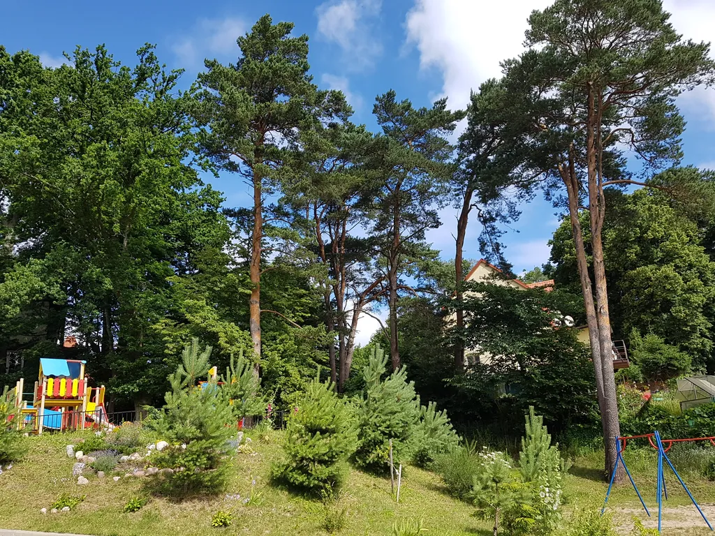 Квартира Уютная 2-комнатная квартира — Светлогорск