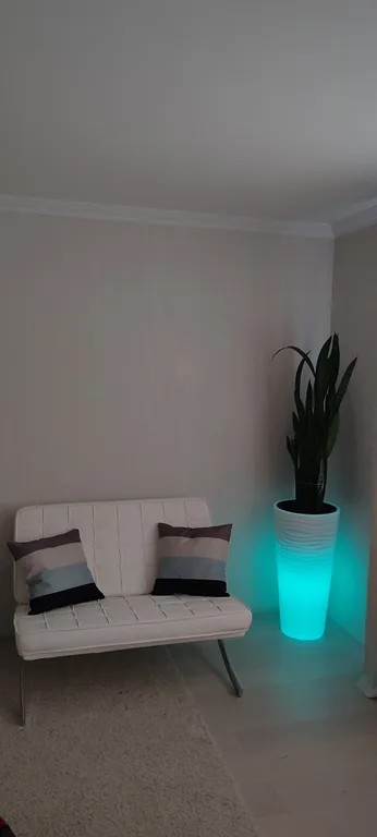 Солнечная Камчатка