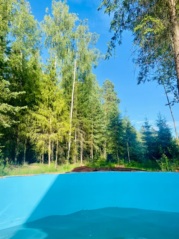 Дом A-frame с купелью, баней и бассейном в сосновом лесу