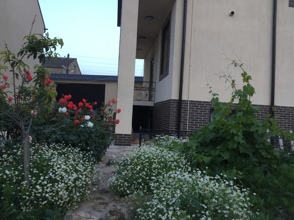 Дача на берегу моря