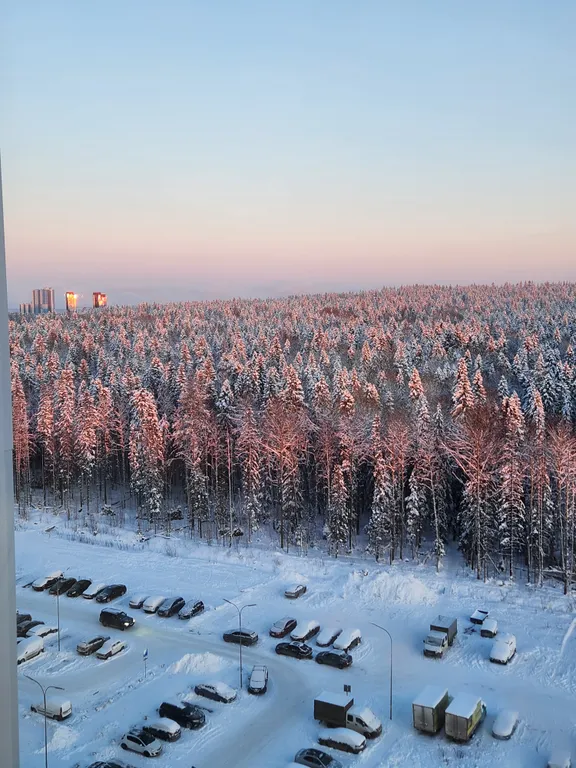 Уютная квартира с шикарным видом на лес