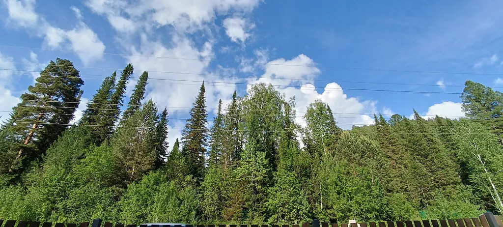 Тишина Телецкого в современном доме на Алтае